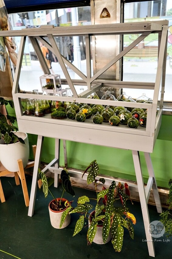 台中新店|微景火車店-DR2700型柴油客車上的綠植小店,多肉觀葉植物還有綠藻球!