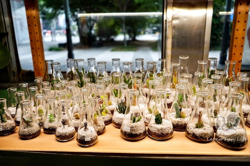 台中新店|微景火車店-DR2700型柴油客車上的綠植小店,多肉觀葉植物還有綠藻球!