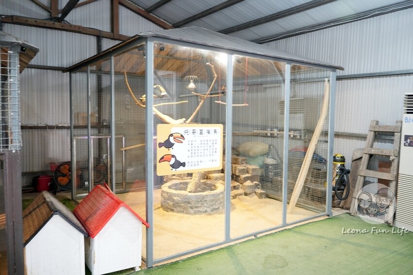 新竹市香山區新竹親子景點|廢物媽媽育兒農場-預約制熱門景點，和可愛水豚、柯爾鴨、笑笑羊近距離接觸!