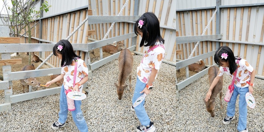 新竹市香山區新竹親子景點|廢物媽媽育兒農場-預約制熱門景點，和可愛水豚、柯爾鴨、笑笑羊近距離接觸!