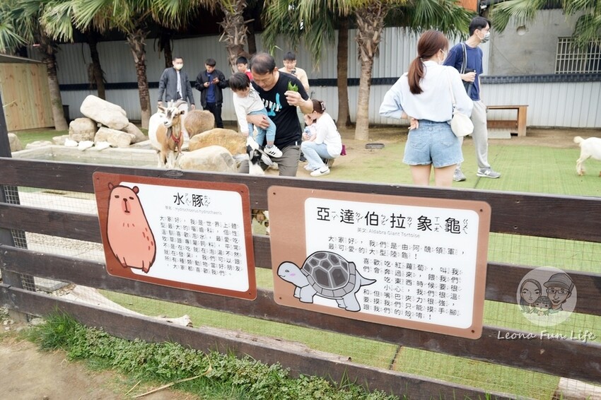 新竹市香山區新竹親子景點|廢物媽媽育兒農場-預約制熱門景點，和可愛水豚、柯爾鴨、笑笑羊近距離接觸!