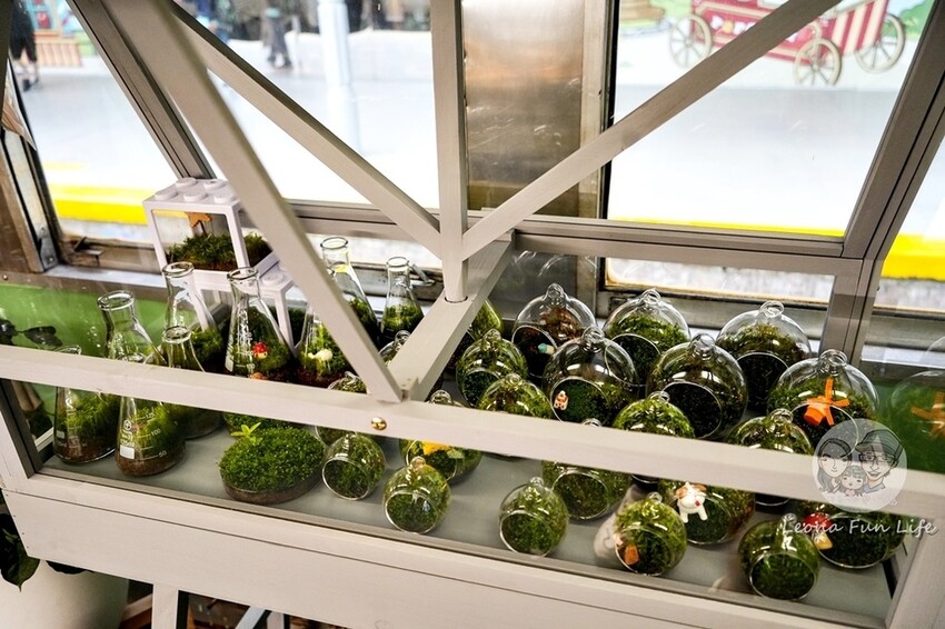 台中新店|微景火車店-DR2700型柴油客車上的綠植小店,多肉觀葉植物還有綠藻球!