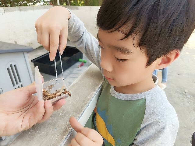 宜蘭縣冬山鄉慢吞吞農場 | 宜蘭親子景點.象龜主題農場.餵食象龜、浣熊、狐獴、柯爾鴨!