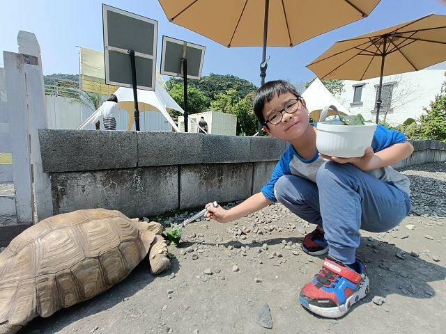 宜蘭縣冬山鄉慢吞吞農場 | 宜蘭親子景點.象龜主題農場.餵食象龜、浣熊、狐獴、柯爾鴨!