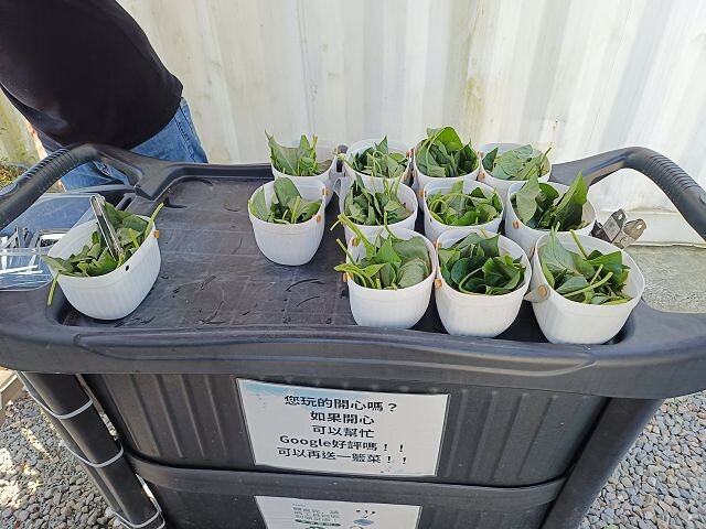 宜蘭縣冬山鄉慢吞吞農場 | 宜蘭親子景點.象龜主題農場.餵食象龜、浣熊、狐獴、柯爾鴨!