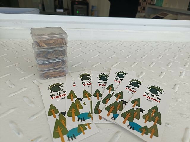 宜蘭縣冬山鄉慢吞吞農場 | 宜蘭親子景點.象龜主題農場.餵食象龜、浣熊、狐獴、柯爾鴨!