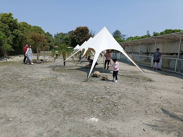 宜蘭縣冬山鄉慢吞吞農場 | 宜蘭親子景點.象龜主題農場.餵食象龜、浣熊、狐獴、柯爾鴨!