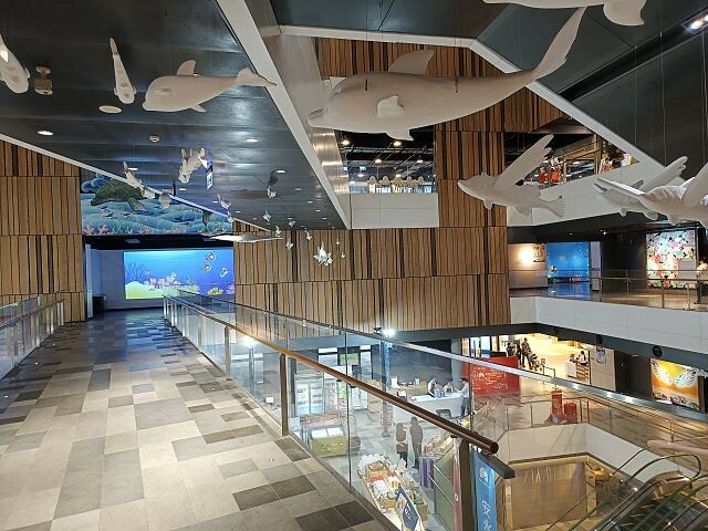 宜蘭縣蘇澳鎮安永心食館 | 宜蘭親子景點．海洋主題風觀光工廠．高科技互動遊戲超好玩．親子DIY活動超有趣．館內場景超好