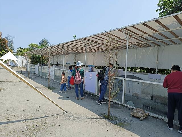 宜蘭縣冬山鄉慢吞吞農場 | 宜蘭親子景點.象龜主題農場.餵食象龜、浣熊、狐獴、柯爾鴨!