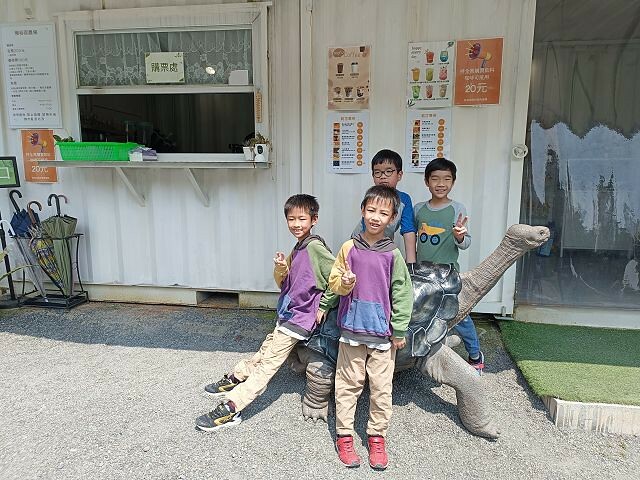 宜蘭縣冬山鄉慢吞吞農場 | 宜蘭親子景點.象龜主題農場.餵食象龜、浣熊、狐獴、柯爾鴨!
