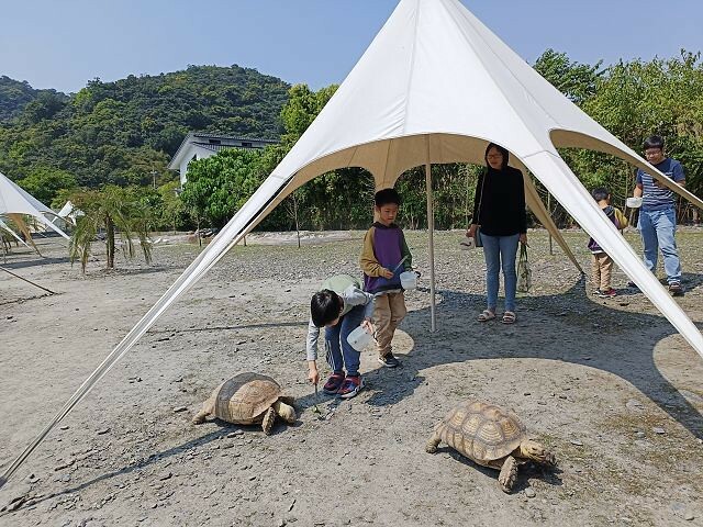 宜蘭縣冬山鄉慢吞吞農場 | 宜蘭親子景點.象龜主題農場.餵食象龜、浣熊、狐獴、柯爾鴨!