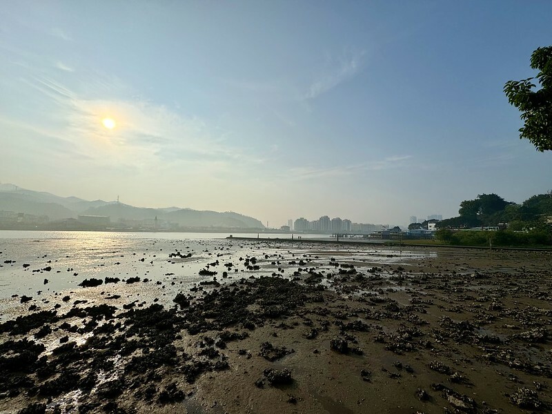 澳門澳門旅遊 ｜ 路環咖啡館，澳門首家「黑膠咖啡店」3345 Coffee & Vinyl 叁叁｜肆伍。（澳門咖啡館）