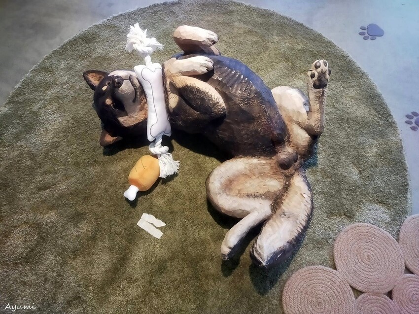 [跟著Ayumi來屏東一日遊]極度日常ULTRA DAILY