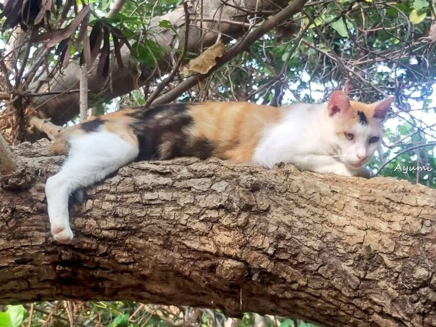 [跟著Ayumi來屏東一日遊]極度日常ULTRA DAILY