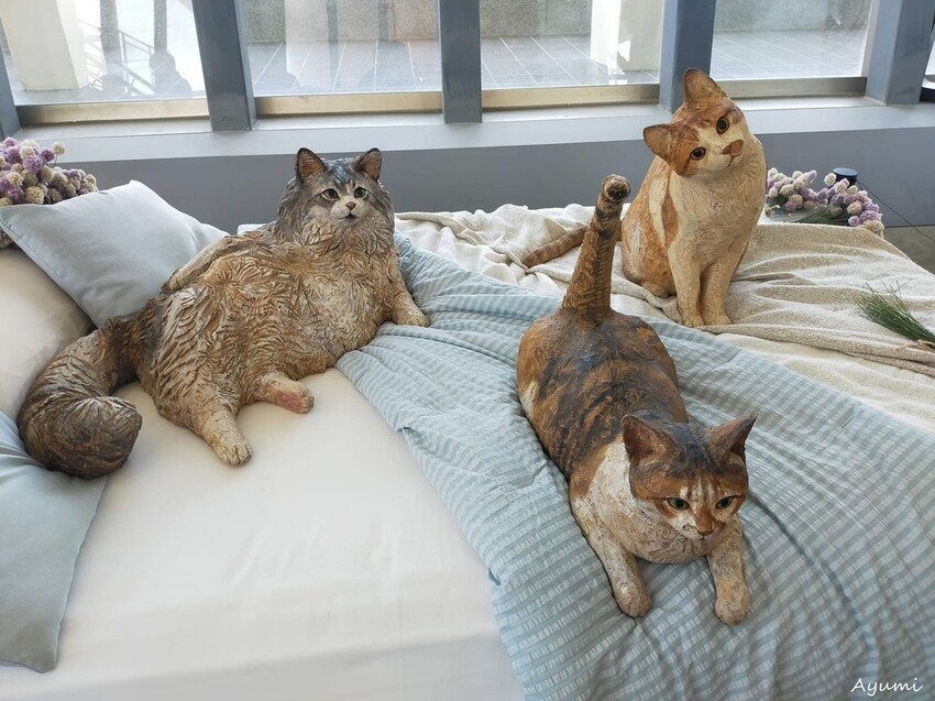 [跟著Ayumi來屏東一日遊]極度日常ULTRA DAILY