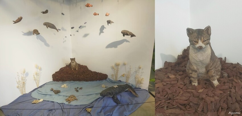 [跟著Ayumi來屏東一日遊]極度日常ULTRA DAILY