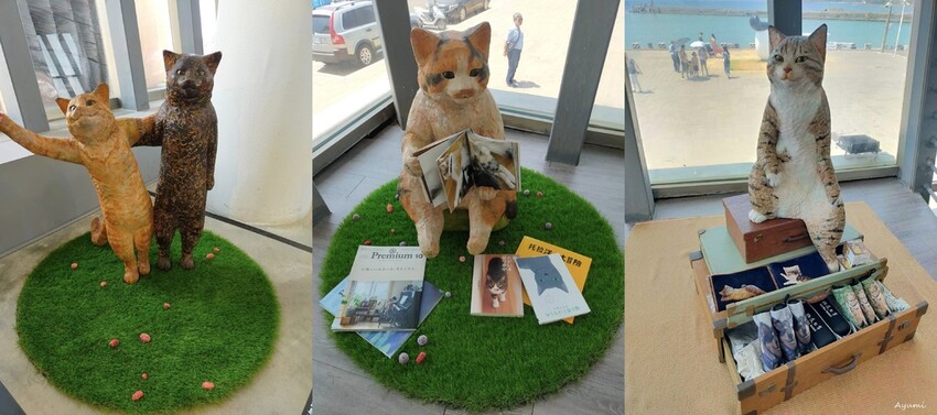 [跟著Ayumi來屏東一日遊]極度日常ULTRA DAILY