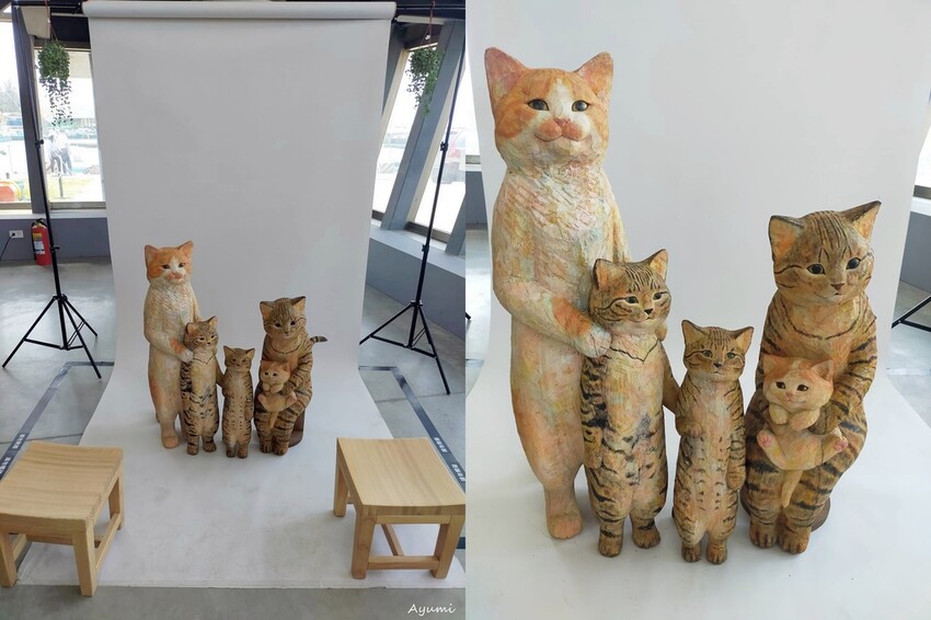 [跟著Ayumi來屏東一日遊]極度日常ULTRA DAILY