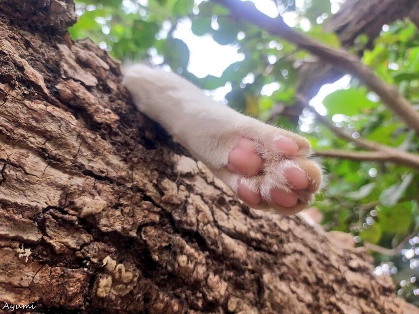 [跟著Ayumi來屏東一日遊]極度日常ULTRA DAILY