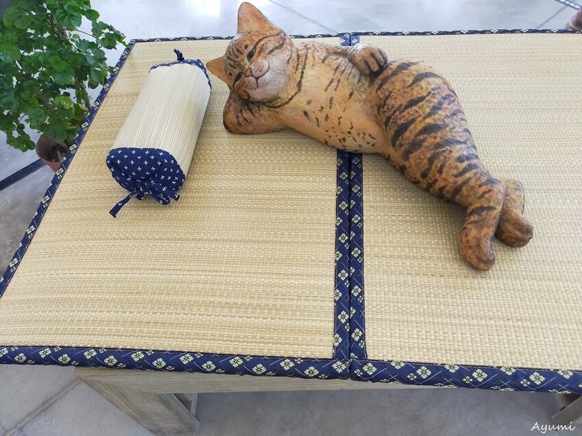 [跟著Ayumi來屏東一日遊]極度日常ULTRA DAILY