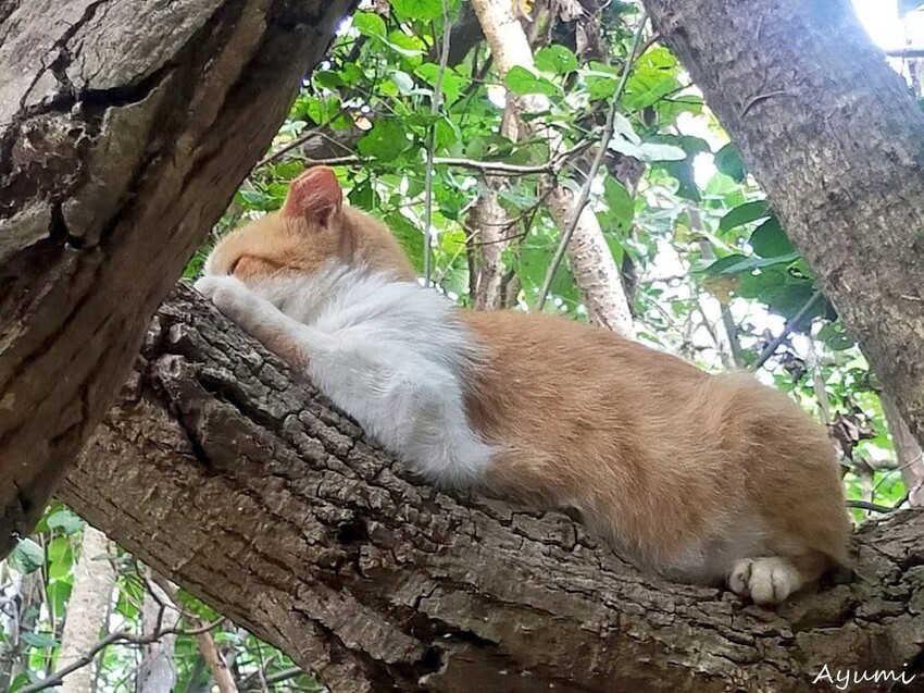 [跟著Ayumi來屏東一日遊]極度日常ULTRA DAILY