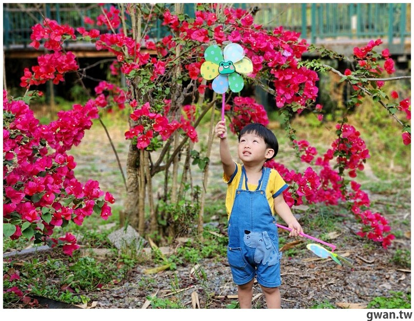 日月潭親子腳踏車推薦,騎電輔車暢遊全球十大最美自行車道,還會送蛙蛙風車耶~