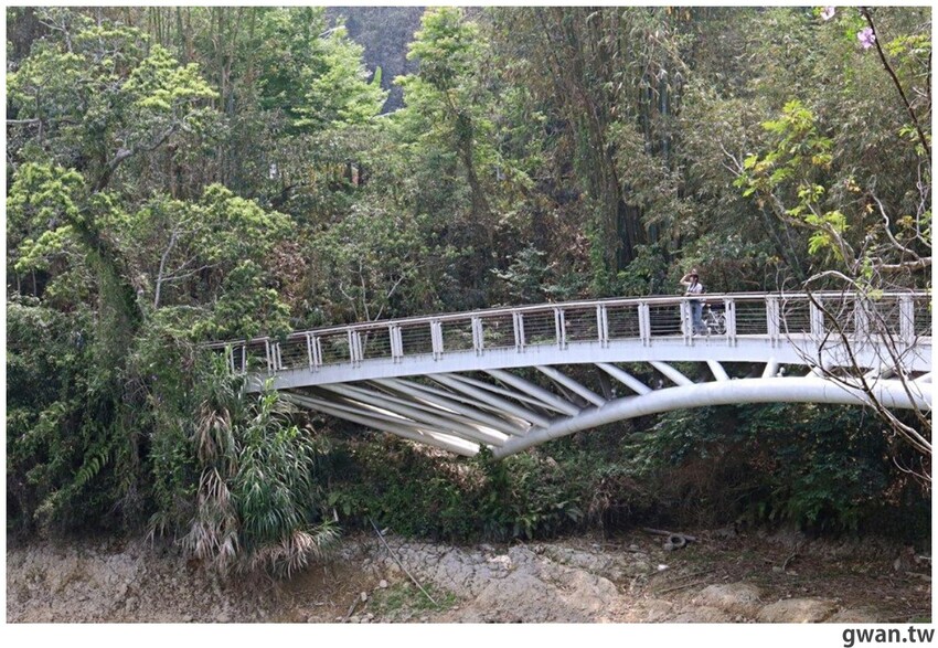 日月潭親子腳踏車推薦,騎電輔車暢遊全球十大最美自行車道,還會送蛙蛙風車耶~