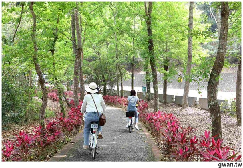 日月潭親子腳踏車推薦,騎電輔車暢遊全球十大最美自行車道,還會送蛙蛙風車耶~