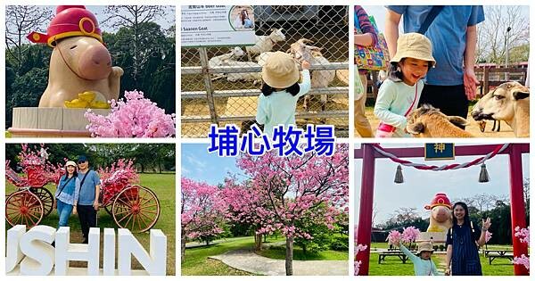 IMG_9675.JPG IMG_9675.JPG