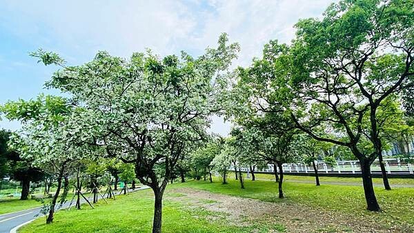 IMG_1009.jpg IMG_1009.jpg