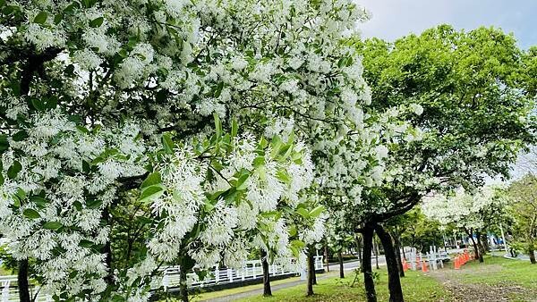 IMG_1013.jpg IMG_1013.jpg