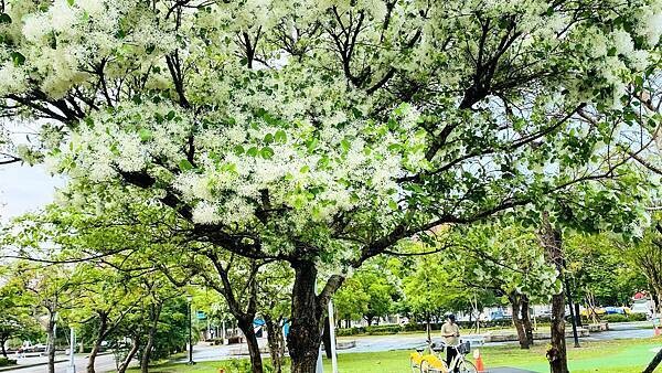 IMG_1016.jpg IMG_1016.jpg