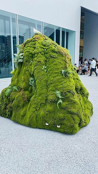 IMG_1515.jpg IMG_1515.jpg