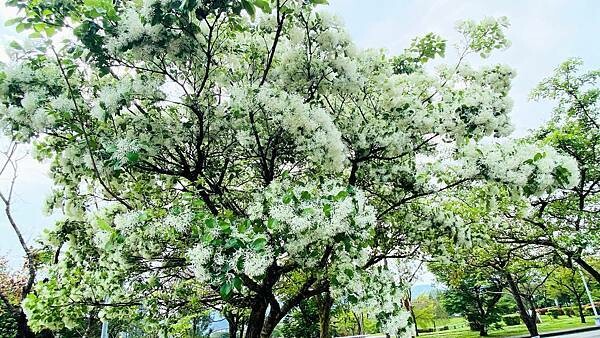 IMG_1004.jpg IMG_1004.jpg