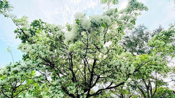 IMG_1007.jpg IMG_1007.jpg