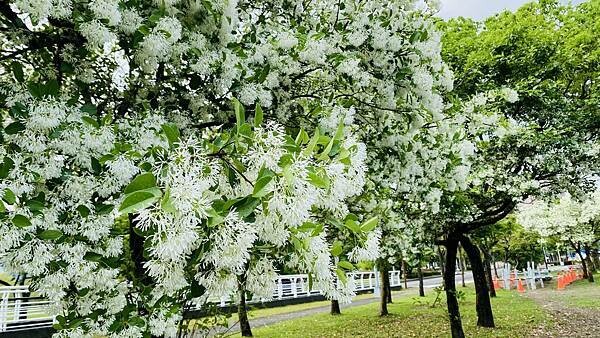 IMG_1012.jpg IMG_1012.jpg