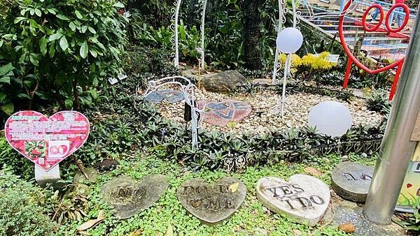 IMG_1068.jpg IMG_1068.jpg