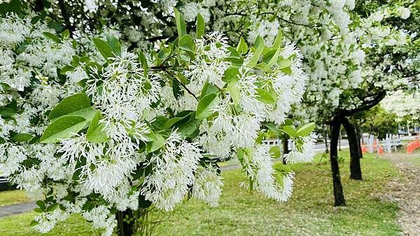 IMG_1010.jpg IMG_1010.jpg