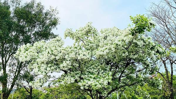 IMG_1015.jpg IMG_1015.jpg