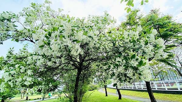 IMG_1014.jpg IMG_1014.jpg