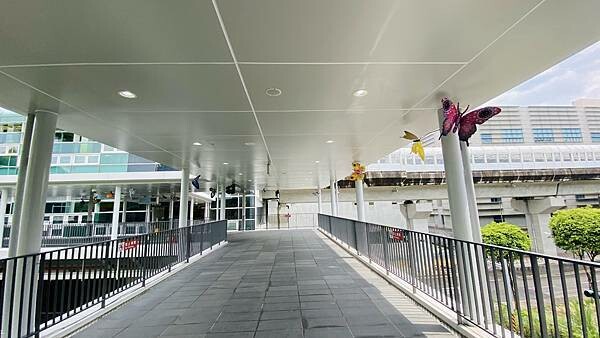 IMG_1133.jpg IMG_1133.jpg