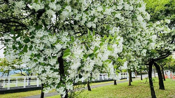 IMG_1011.jpg IMG_1011.jpg