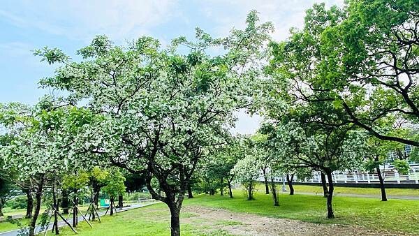 IMG_1008.jpg IMG_1008.jpg