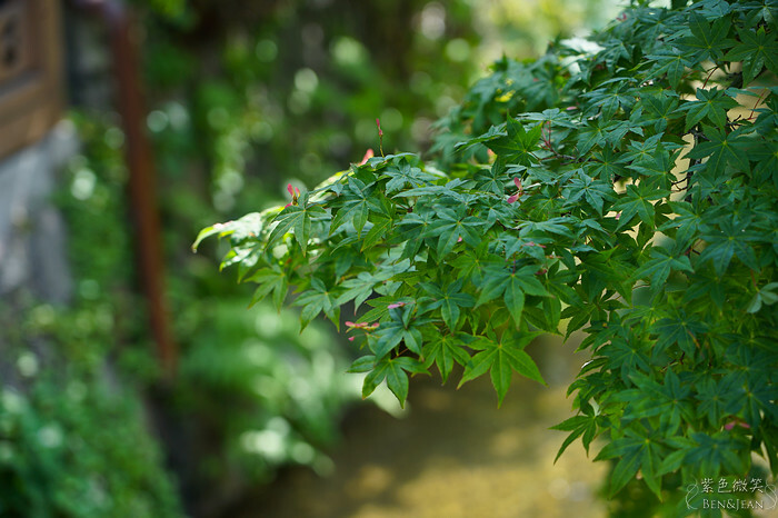 日本京阪電車》京都大阪觀光一日券二日券~玩遍大阪京都景點.大阪城、伏見稻荷大社、錦市場，京都清水寺、祇園、