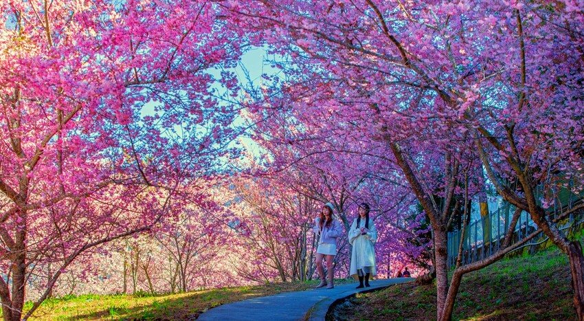 台中市西屯區台中中央公園遊客中心》最酷的遊客中心，以飛航為主題室內景點、免費參觀超有趣