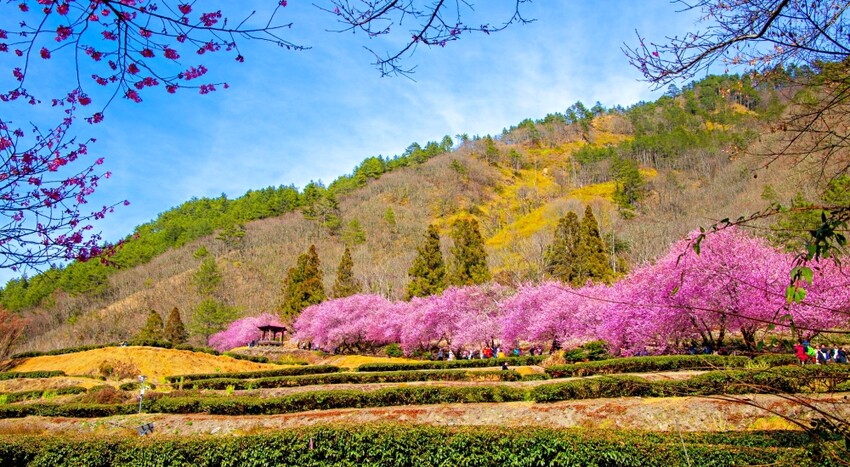 台中市西屯區台中中央公園遊客中心》最酷的遊客中心，以飛航為主題室內景點、免費參觀超有趣