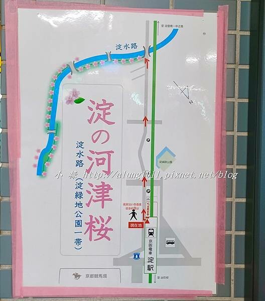 淀河津櫻 (3).jpg