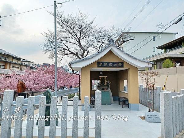 淀河津櫻 (14).jpg