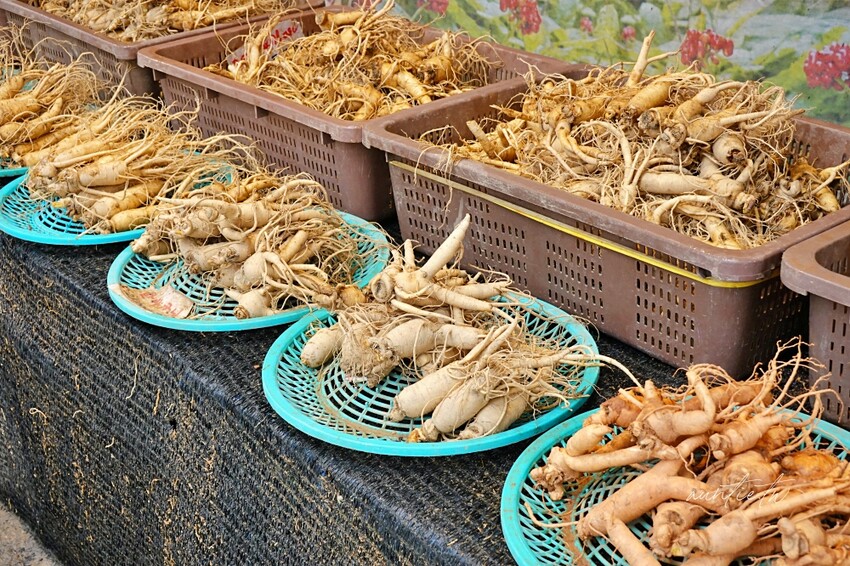 韓國【首爾】祭基洞站｜京東市場平壤冷麵，清爽冷麵，大顆飽滿夠味餃子