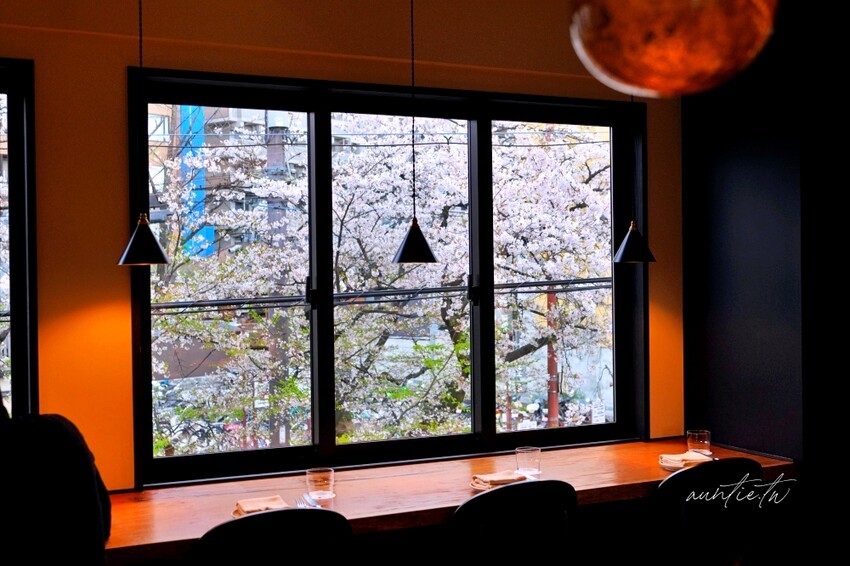 日本【京都美食】河原町|Kacto 鴨川旁美麗風景咖啡廳,櫻花季更是與大片櫻花林正面對決